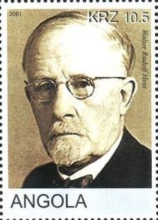 Beach Barbeque and Fireworks