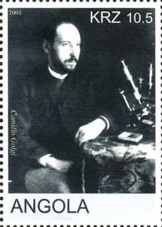 Leatherback Sea Turtle (Dermochelys coriacea)