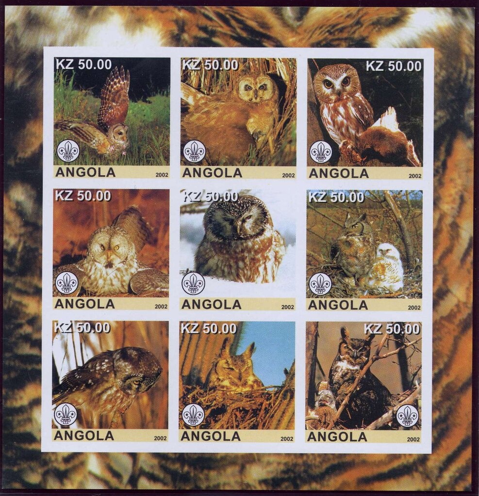 The World of Butterflies