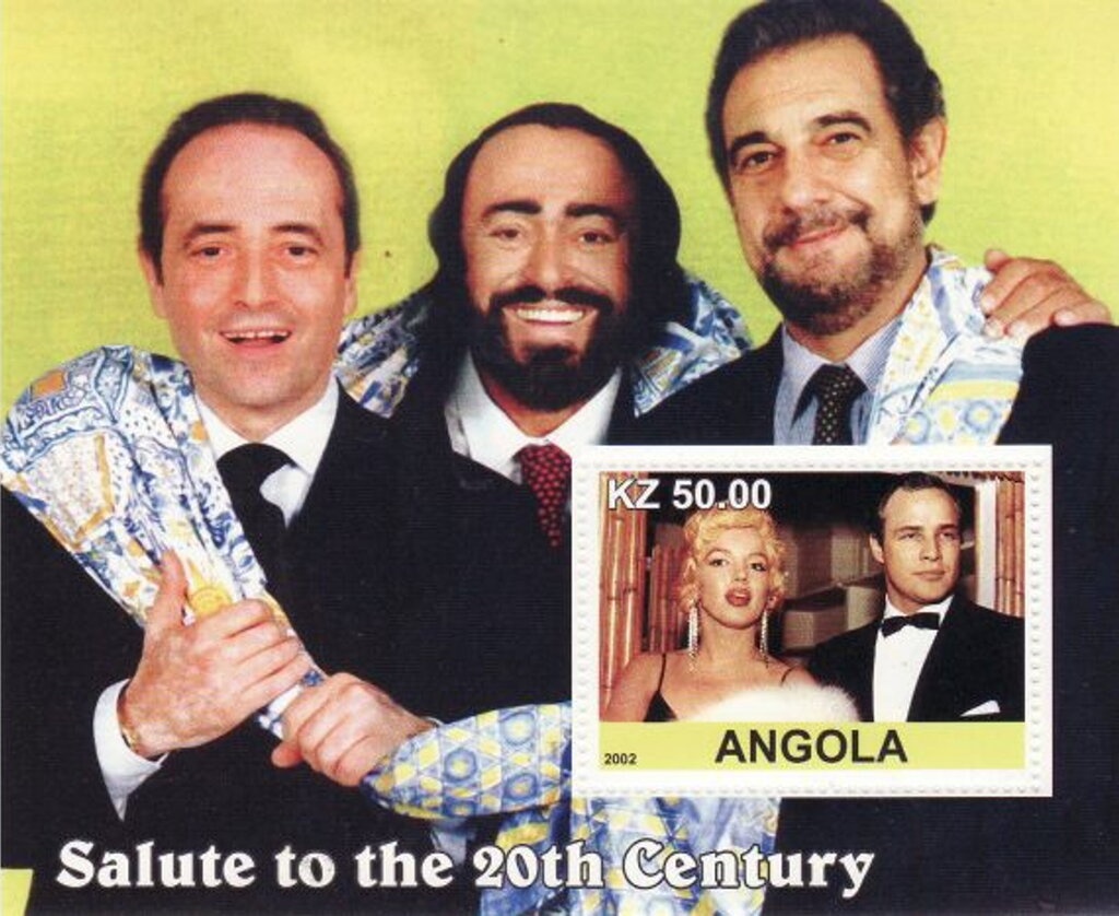 Green Sea Turtle (Chelonia mydas)