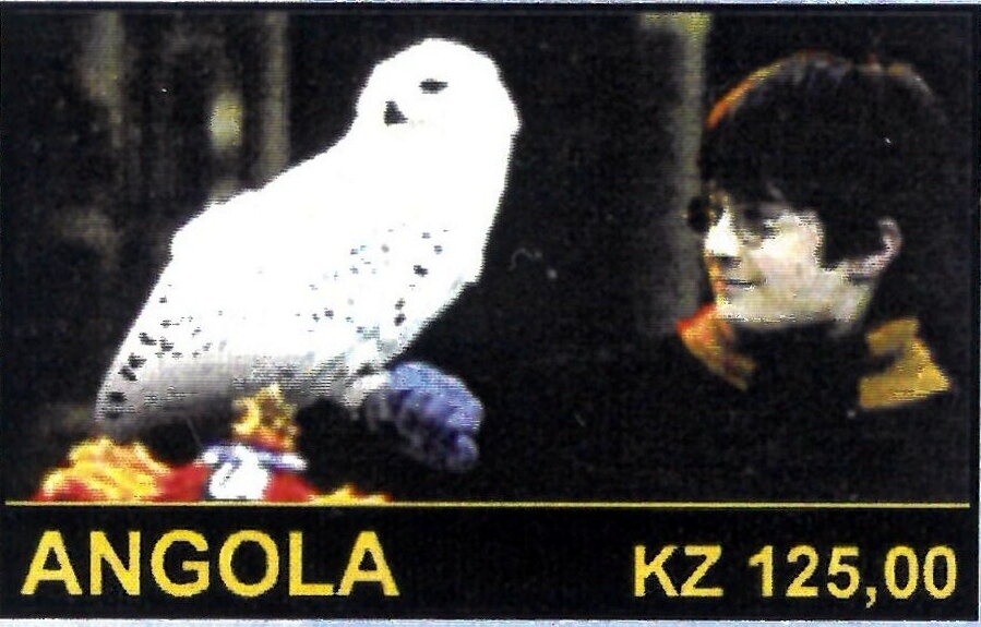 Laughing Gull (Larus atricilla)