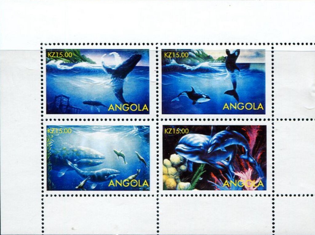 Namaqua Sandgrouse (Pterocles namaqua)