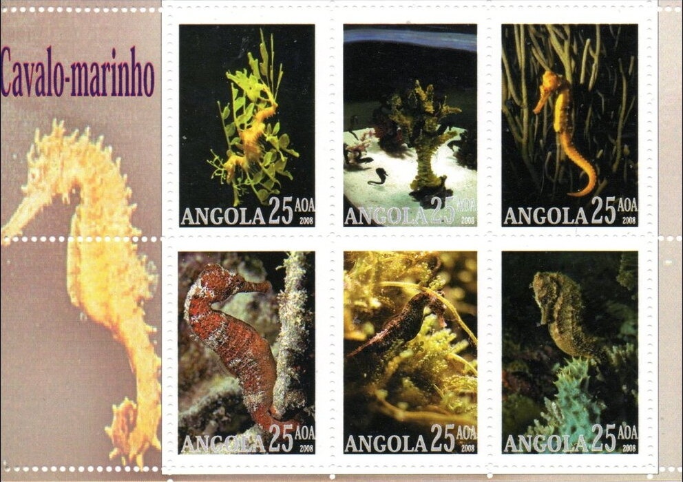 'Dreams of Christmas Gifts' (John Connor)