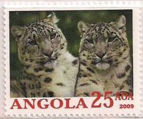 Millenium 2000 Bruce Lee