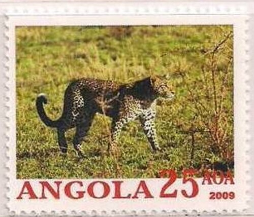 Giant Blue Swallowtail (Papilio zalmoxis)