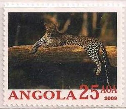 "Morning Devotion on Sombrero" (Junior Carter)