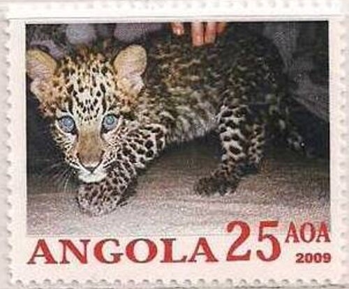 Lady Diana Spencer in 1968 - Overprinted