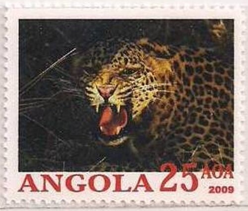 Christmas Dinner - Overprinted