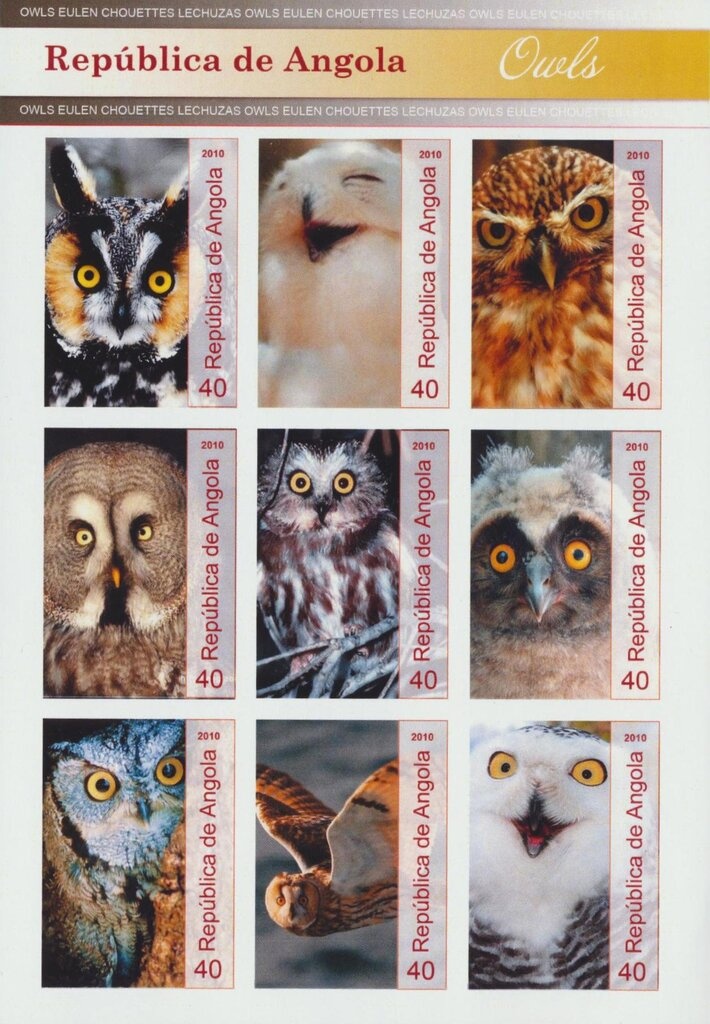 House with Hipped Roof and Verandah