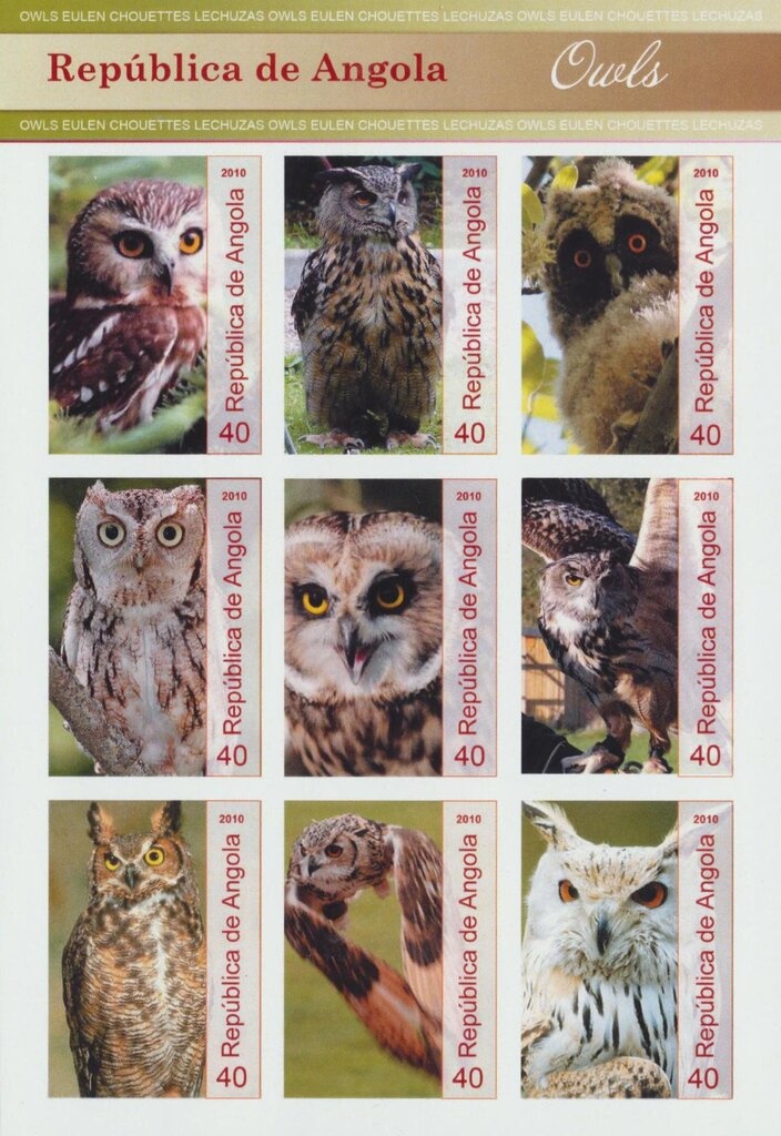 Countdown to the Millennium 1980-1989