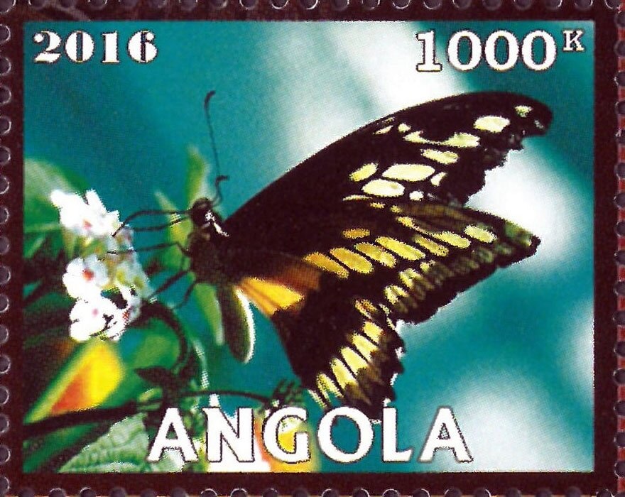 ' The Adoration of the Shepherds' (Guido Reni)