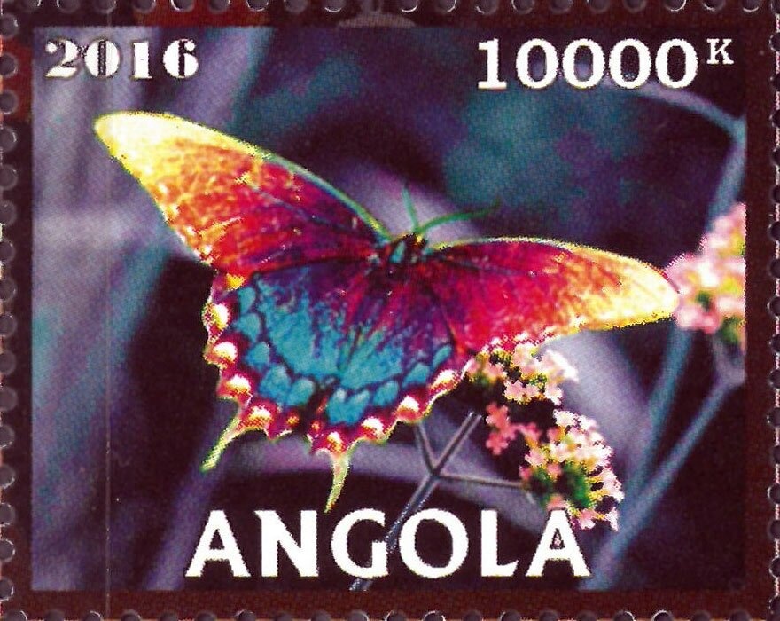 "Chief" (Solar Chieftan)