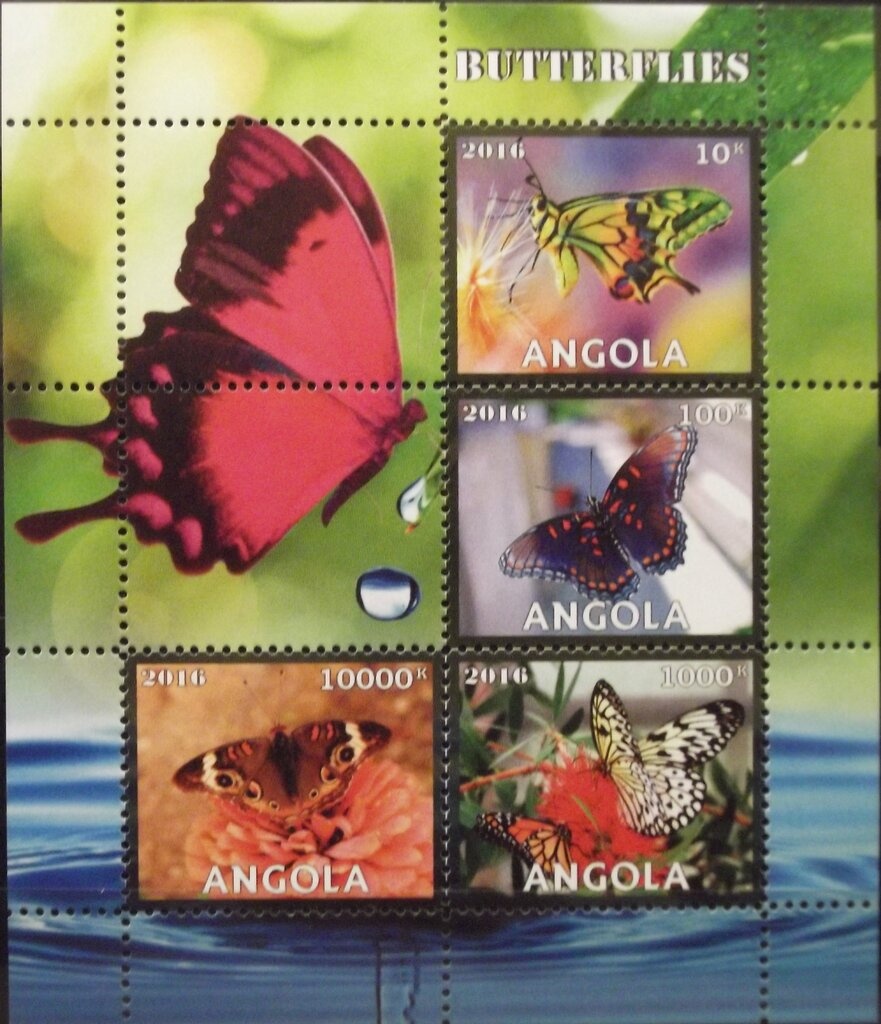 Blue Whale (Balaenoptera musculus)