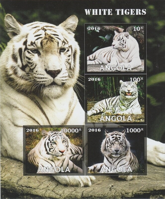 King Carlos I of Portugal (1863-1908)