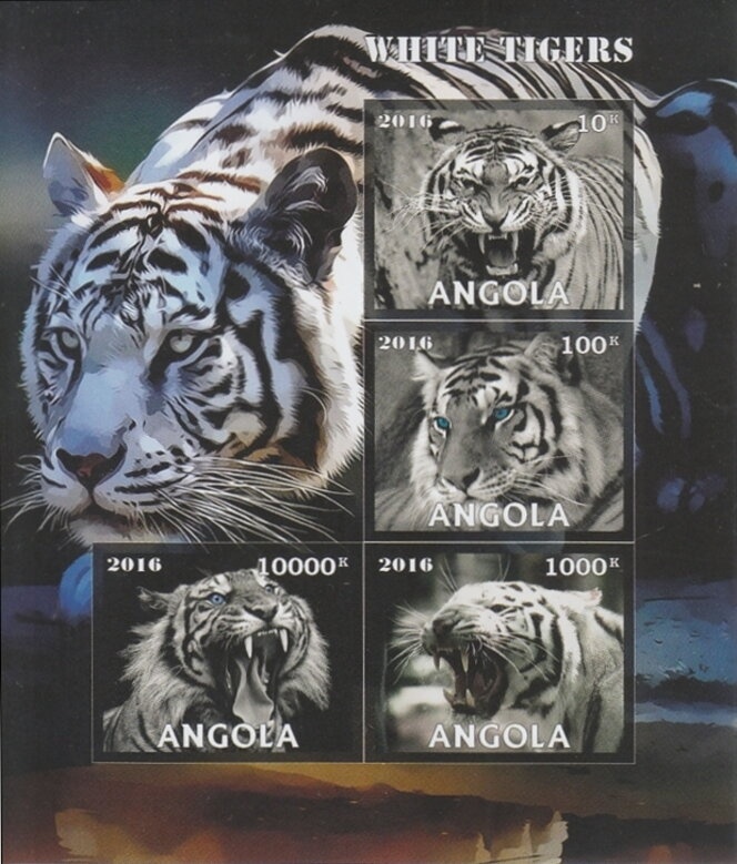 Disney Railroad Story