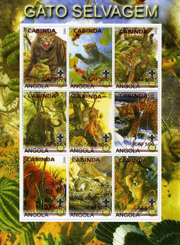 Antillean Crested Hummingbird - Overprinted