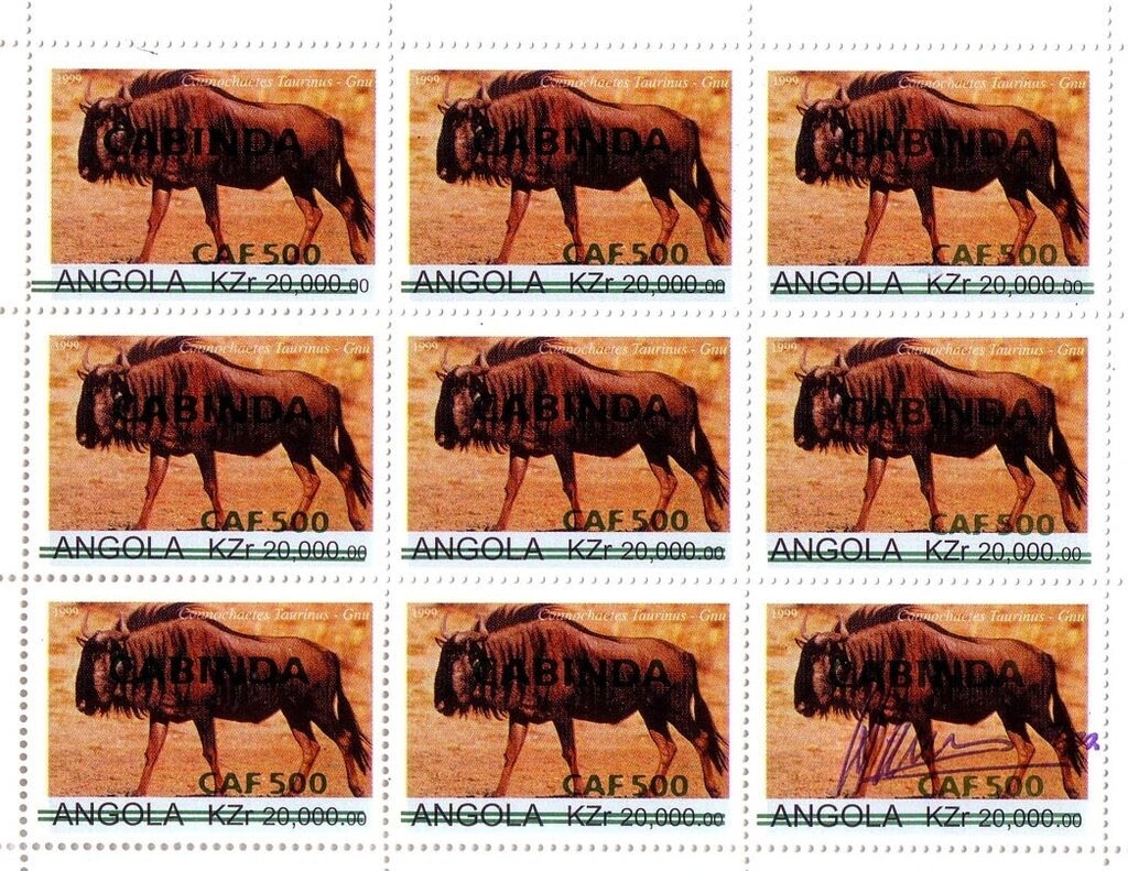 World Football Championship 2002