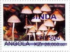 20th anniversary of the Angolan insurance organization ENSA