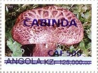 Salute to the 20th Century Harry Potter