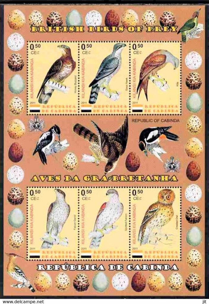 Southern African Hedgehog (Atelerix frontalis)