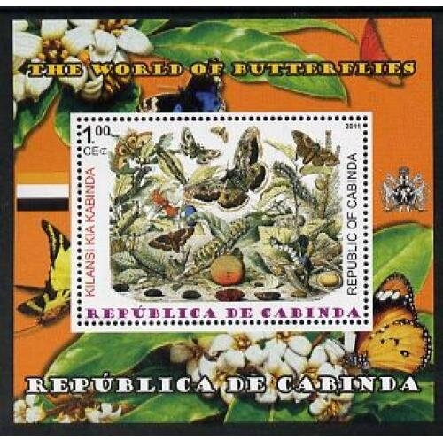 "Blue Bird" in Race, 1970