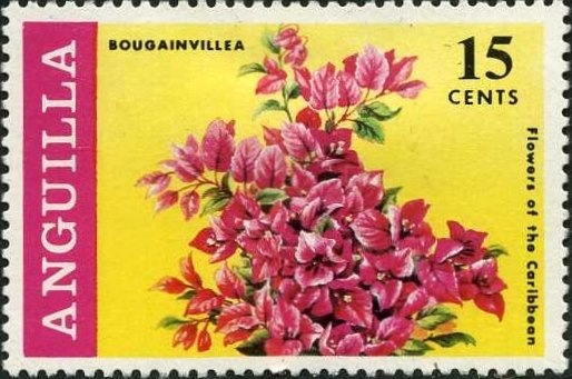 Ruins of Officers' Quarters, Shirley Heights