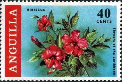 Helicoprion bessonowi