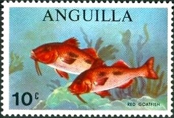 Cameroun Player and Pontiac Silverdome, Detroit