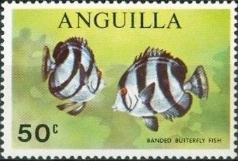 Type Alphee Dubois overprinted and surcharged