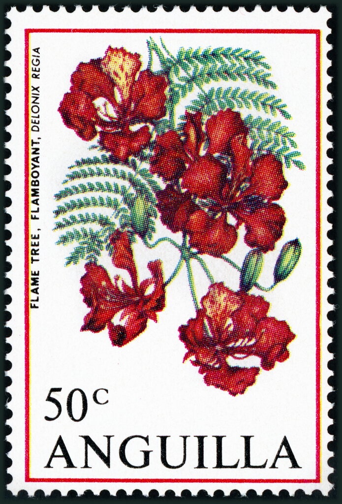 40th Anniversary of International Civil Aviation Authority