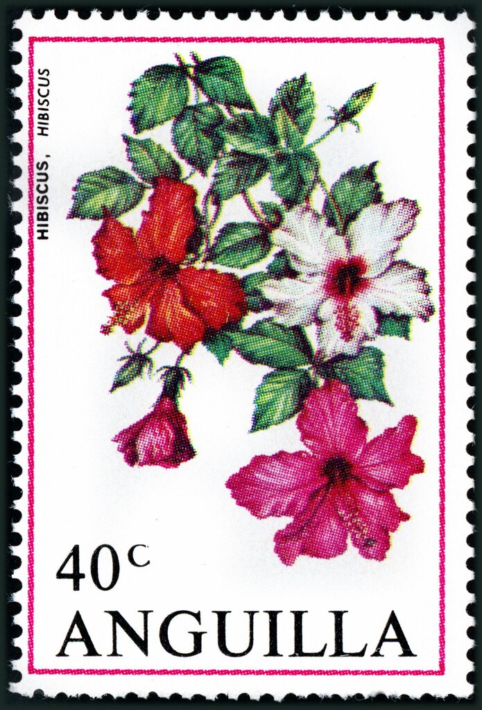 Arts Festival/Christmas Booklet