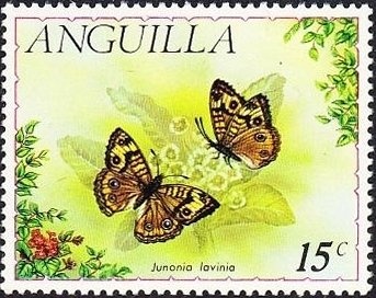 Stained Glass Window, Chratres Cathedral