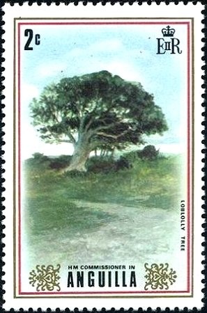 100 Years of The Queen Mother