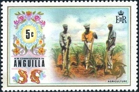 Straight-barred Grass Yellow (Eurema elathea)