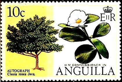 Carib War Canoe, English Harbour, 1300