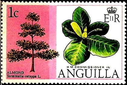 The World of Butterflies