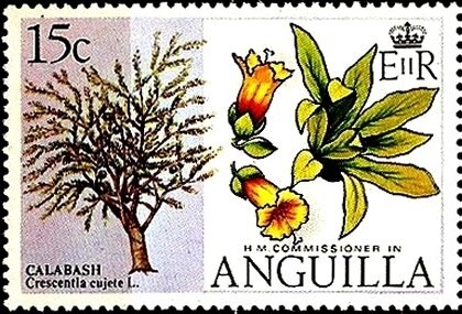 100 Years of The Queen Mother