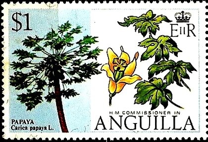 Cannon at Fort James