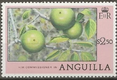 Map of 1775 and Galleon