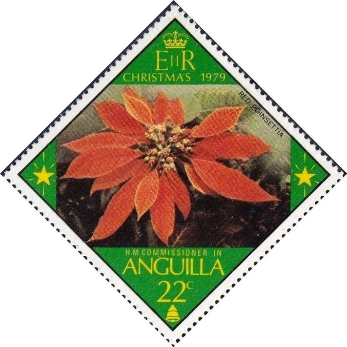 Banded Butterflyfish (Chaetodon striatus)