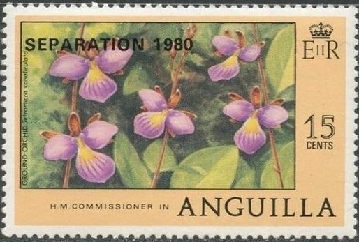 Paintings by Michelangelo Buonarroti