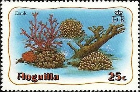 Ground Lizard (Anolis gingivinus)