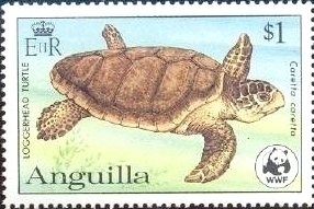 Scene from Walt Disney's "Bedknobs and Broomsticks"