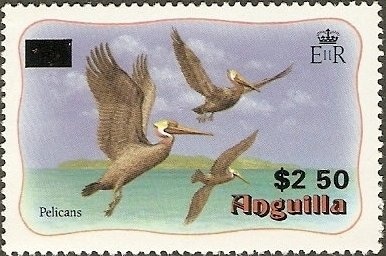 Polydamas Swallowtail (Papilio polydamas)