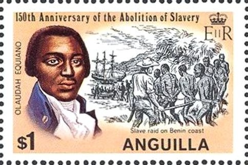 Pineapple (Ananas comosus)