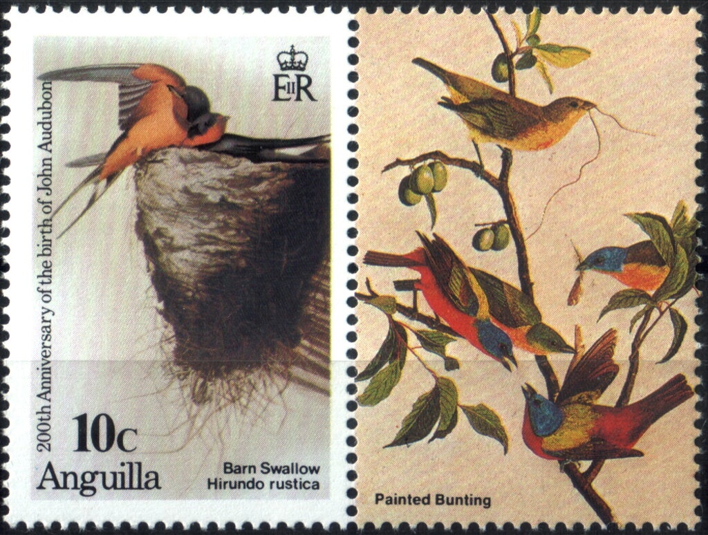 Island Dinghies - Overprinted