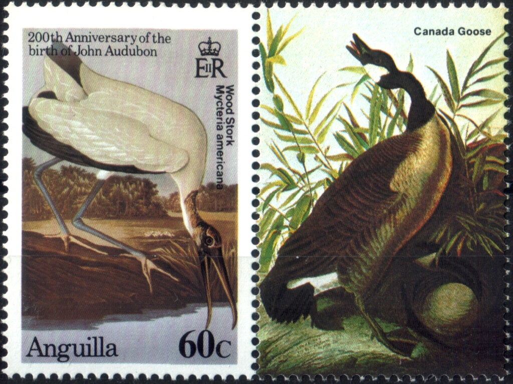 King Ferdinand and Queen Isabella of Spain