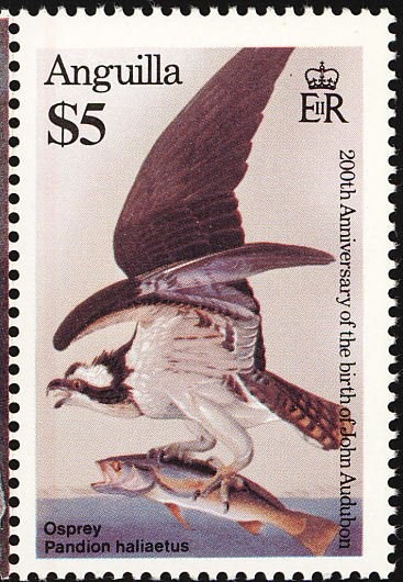 Paintings by Lorenzo Lotto