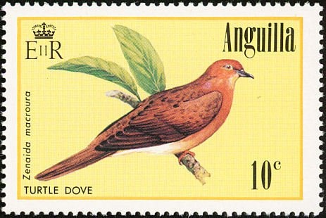 Old Plantation House, Mt. Fortune - Overprinted