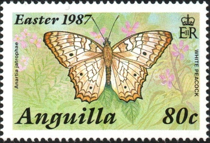 Scene from Walt Disney's "Bedknobs and Broomsticks"